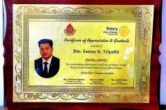 Awards